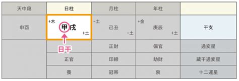 陰木性格|四柱推命『乙（きのと）』の意味は？ 十二支ごとの。